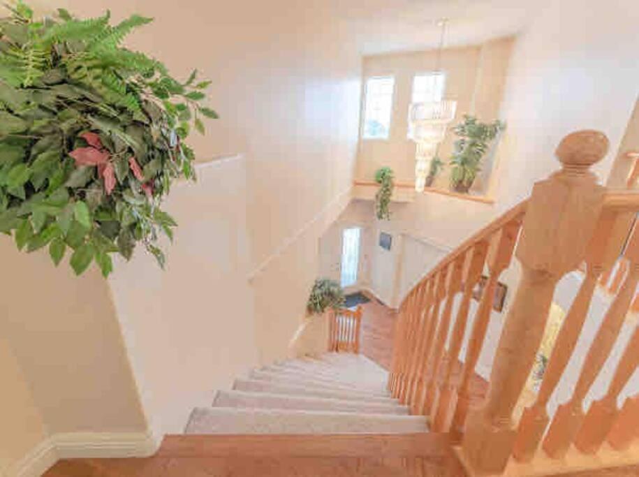 2500 Sq House In Springbank Hill Bl 261818 Villa YYC Dış mekan fotoğraf