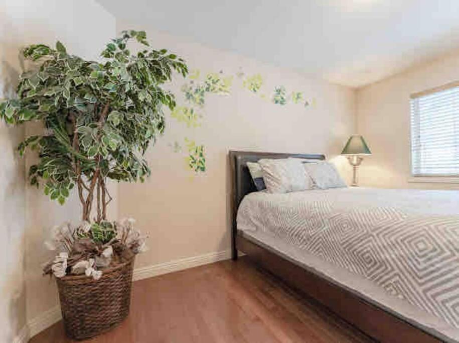 2500 Sq House In Springbank Hill Bl 261818 Villa YYC Dış mekan fotoğraf